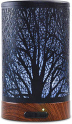 EQUSUPRO Essential Oil Diffuser 150ml Black Metal Aromatherapy Oil Diffuser by EQUSUPRO