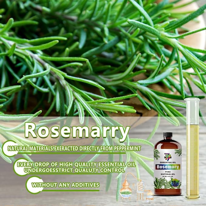 Rosemary Essential Oil - Image 6