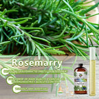 Rosemary Essential Oil - Image 6