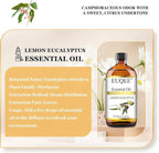 EUQEE Lemon Eucalyptus Essential Oil Pure Lemon Eucalyptus Oil, Large Capacity - Image 2