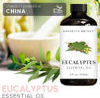 Brooklyn Botany Eucalyptus Essential Oil - Image 4