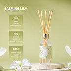 Airkeep Reed Diffuser Oil Set - Image 3