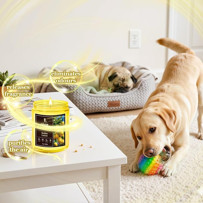 4 Pack Odor Eliminating Highly Fragranced Candle, Eliminates 95% of Food - Image 3