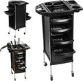 Hair Salon Storage Tool Cart Organizer by sxvbdway