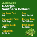 HOME GROWN Georgia Southern Collard Green Seeds 600+ Heirloom Non-GMO Seeds - Image 5