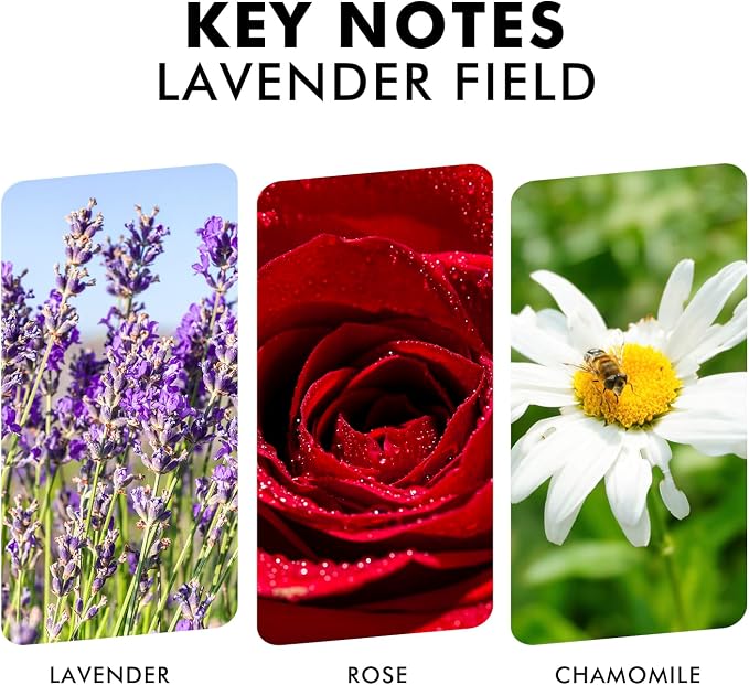 Xcleen Reed Diffuser Set, Lavender Field Oil Diffuser - Image 3