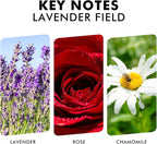 Xcleen Reed Diffuser Set, Lavender Field Oil Diffuser - Image 3