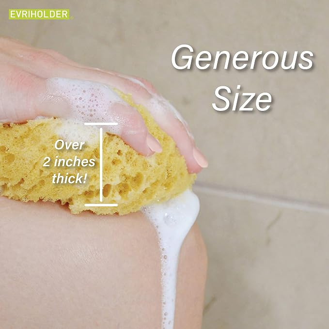 PARADISO Evriholder Sea Foam Body Sponge - Image 5