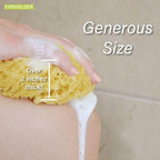 PARADISO Evriholder Sea Foam Body Sponge - Image 5