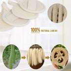 Face Exfoliating Loofah Pads Scrubber, Natural loofa Exfoliator Scrub Pad - Image 6