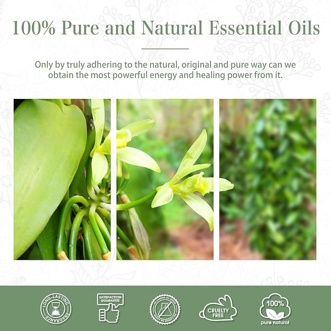 Vanilla Essential Oil, 1.01Fl.Oz PHATOIL Pure Essential Oil Singles - Image 6
