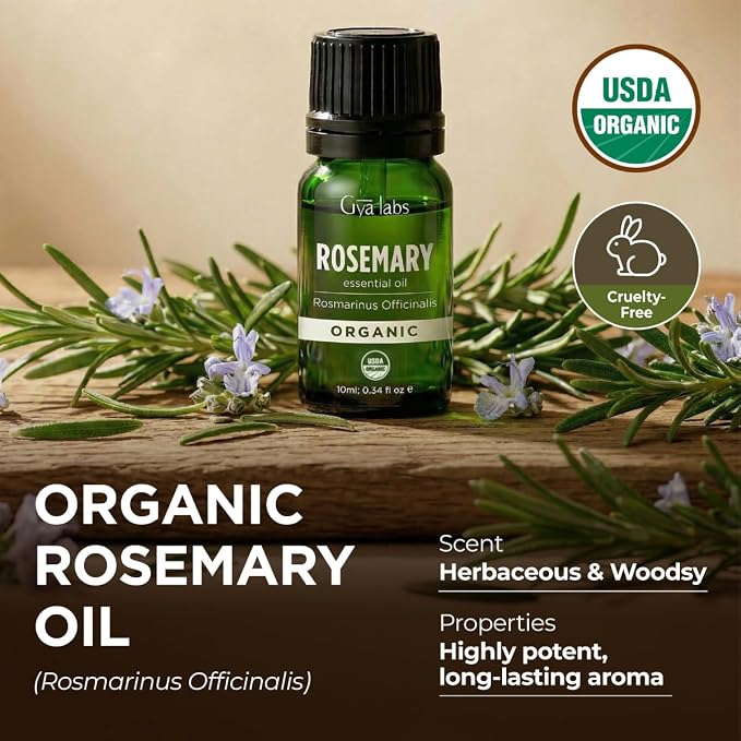 Gya Labs Organic Rosemary Essential Oil - Image 4