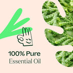 Plant Therapy Deodorizing Essential Oil Blend 30 mL 100% Pure, Therapeutic Grade - Image 5