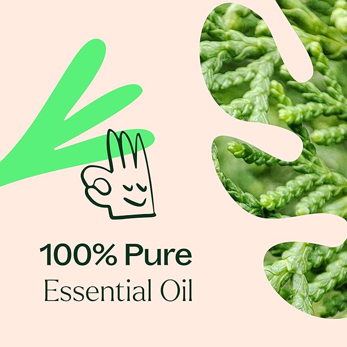 Plant Therapy Deodorizing Essential Oil Blend 30 mL 100% Pure, Therapeutic Grade - Image 5