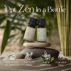 SALUBRITO Zen Fragrance Oil Set, Tea Essential Oil - Image 2