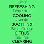 Plant Therapy Top 14 Essential Oil Set, 10 mL Bottles of Lavender, Eucalyptus - Image 3