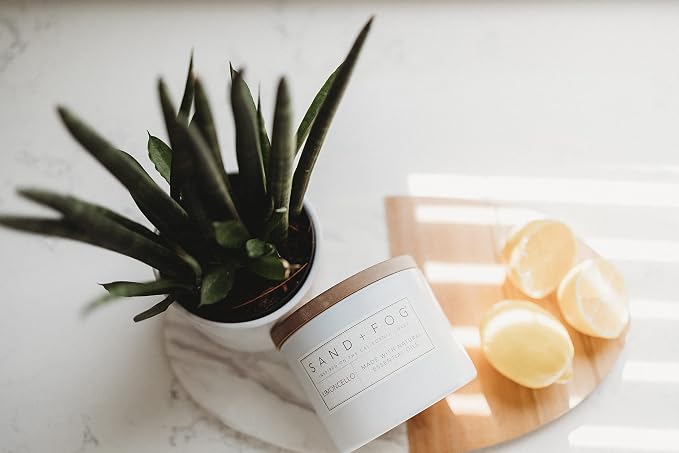 Sand + Fog Scented Candles - Image 8