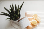 Sand + Fog Scented Candles - Image 8