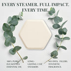 Eucalyptus Shower Steamers Aromatherapy, Vapor Shower Tablets - Image 5