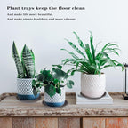 2 Pack of 22 inch Plant Saucer, Large Plant Tray, Heavy Sturdy Plant Drainage - Image 6