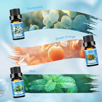 Clean Essential Oils Set for Diffuser & Candle Making | 6 Pack Premium - Image 3