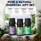 Essential Oils Set Top 12 Aromatherapy-Essential Oils - Image 2