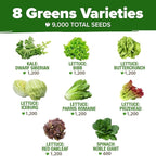 HOME GROWN Lettuce Seeds 8 Variety Mix 9000+ Bulk Pack Heirloom Non-GMO - Image 2