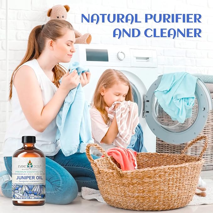 EVOKE OCCU Juniper Berry Essential Oil - Image 2