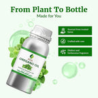 SVA Oregano Essential Oil – 16 Fl Oz – 100% Natural Oregano Oil - Image 5