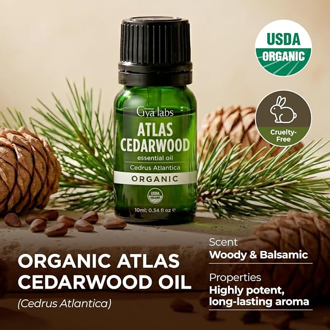 Gya Labs USDA Organic Cedarwood Essential Oil - Image 5