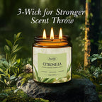 Auelife Scented Candles, 12oz Large 3-Wick Candle - Image 3