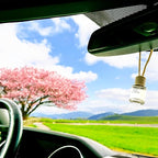 Urban Naturals Car Air Freshener Diffuser 1 Pack - Image 8