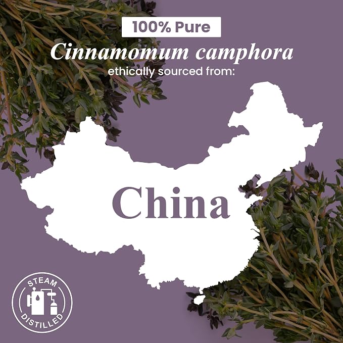 Handcraft Blends Camphor Essential Oil – Huge 4 Fl Oz – 100% Pure and Natural – - Image 8