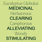 Plant Therapy Eucalyptus Globulus Essential Oil, 30 mL, - Image 3