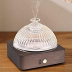 Lecdura Glass Essential Oil Diffuser by Lecdura