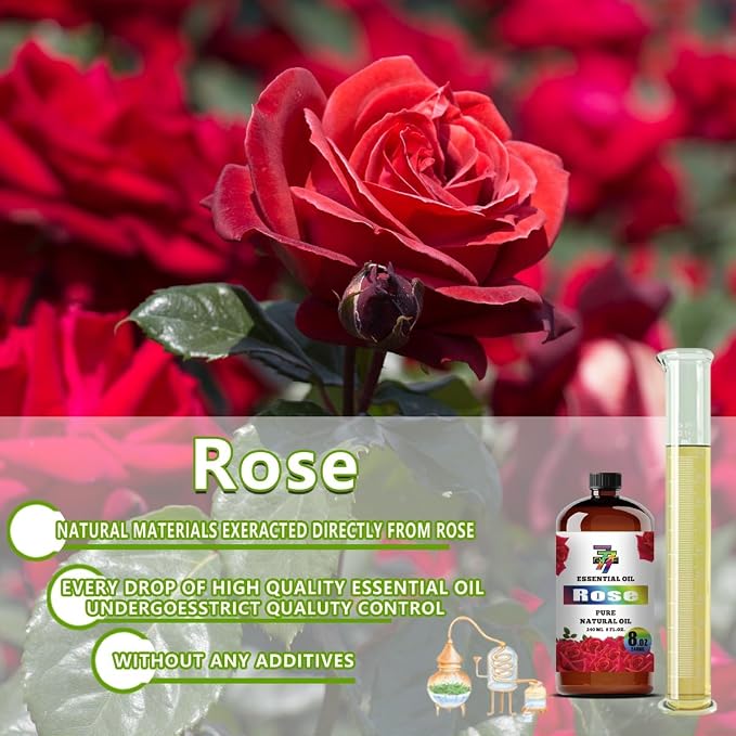 Rose Essential Oil - Image 7