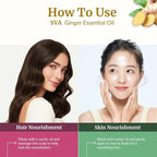 SVA Ginger Essential Oil – 4 Fl Oz – 100% Natural Ginger Oil - Image 5
