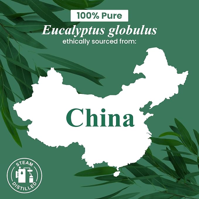 Handcraft Blends Eucalyptus Essential Oil in Glass Bottle – Huge 16 Fl Oz – - Image 7