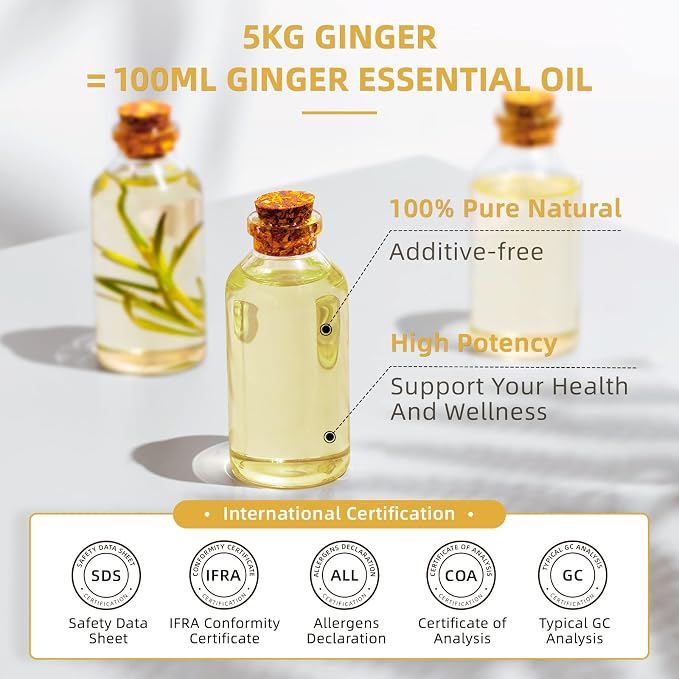 HIQILI 16 Fl Oz Ginger Oil, 100% Pure Natural Ginger Essential Oil - Image 2