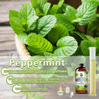 Peppermint Essential Oil - Image 7