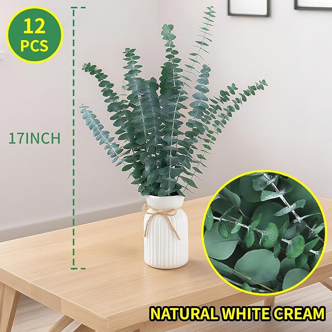 Green Dried Eucalyptus Bundle 12 Pcs Real Stems 17 Inch Fresh Natural - Image 3