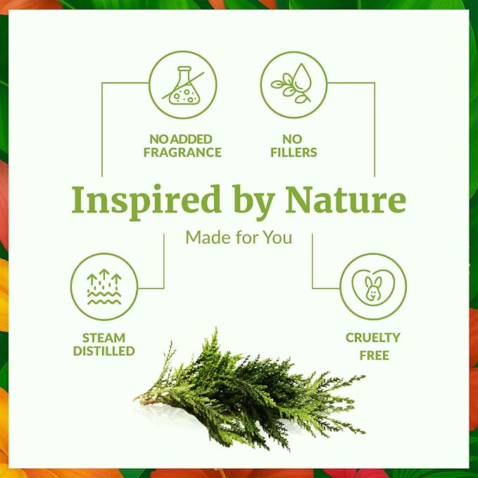 SVA Cypress Essential Oil – 4 Fl Oz – 100% Natural Cypress Oil - Image 3