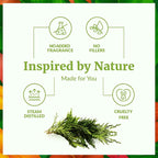 SVA Cypress Essential Oil – 4 Fl Oz – 100% Natural Cypress Oil - Image 3