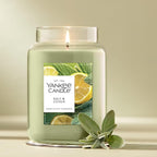 Yankee Candle Sage & Citrus, Scented Candle, 22oz Large Jar - Image 4