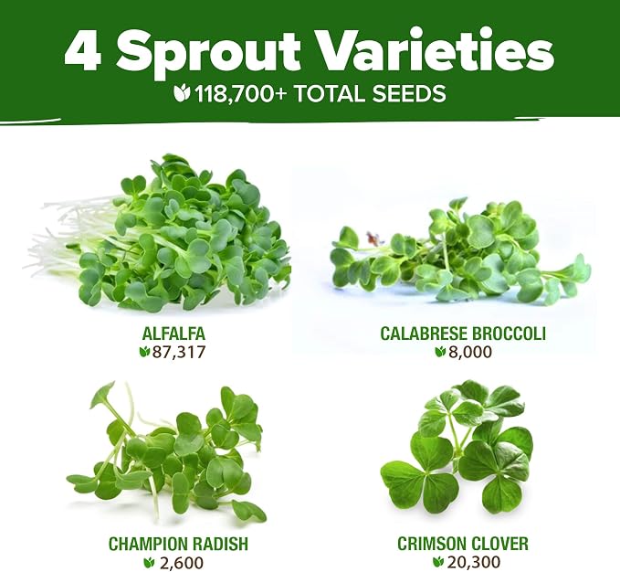 HOME GROWN Premium Sprouting Seeds Mix - Image 2