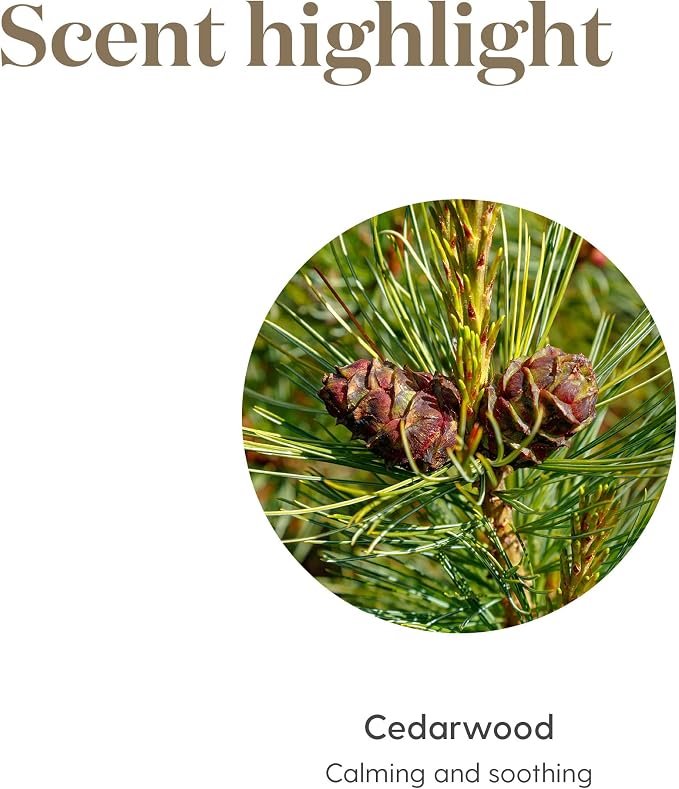 Young Living Cedarwood Essential Oil | 15 ml | Warm Woodsy Aroma - Image 5