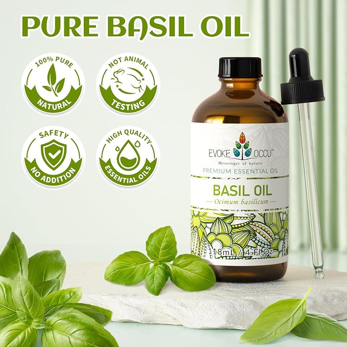 EVOKE OCCU Basil Essential Oil for Skin Massage Diffuser and Candle Making- 4 - Image 7