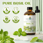 EVOKE OCCU Basil Essential Oil for Skin Massage Diffuser and Candle Making- 4 - Image 7