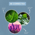 Carolina Be Connected Scented Candle, 16 oz Cypress & Patchouli Scented - Image 2