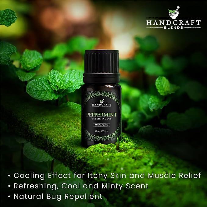 Handcraft Blends Peppermint Essential Oil – 0.33 Fl Oz – 100% Pure and Natural - Image 4